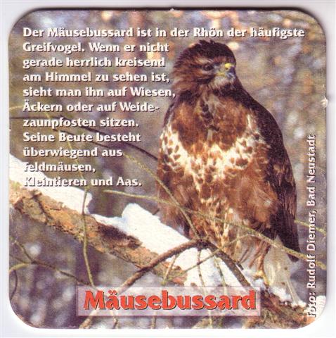 hausen nes-by rother greif 3b (quad180-mäusebussard)